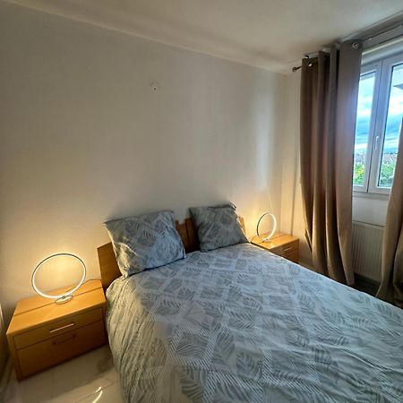 Apartament Tres Beau Trois Pieces Avec Vue Degagee Strasburg Zewnętrze zdjęcie