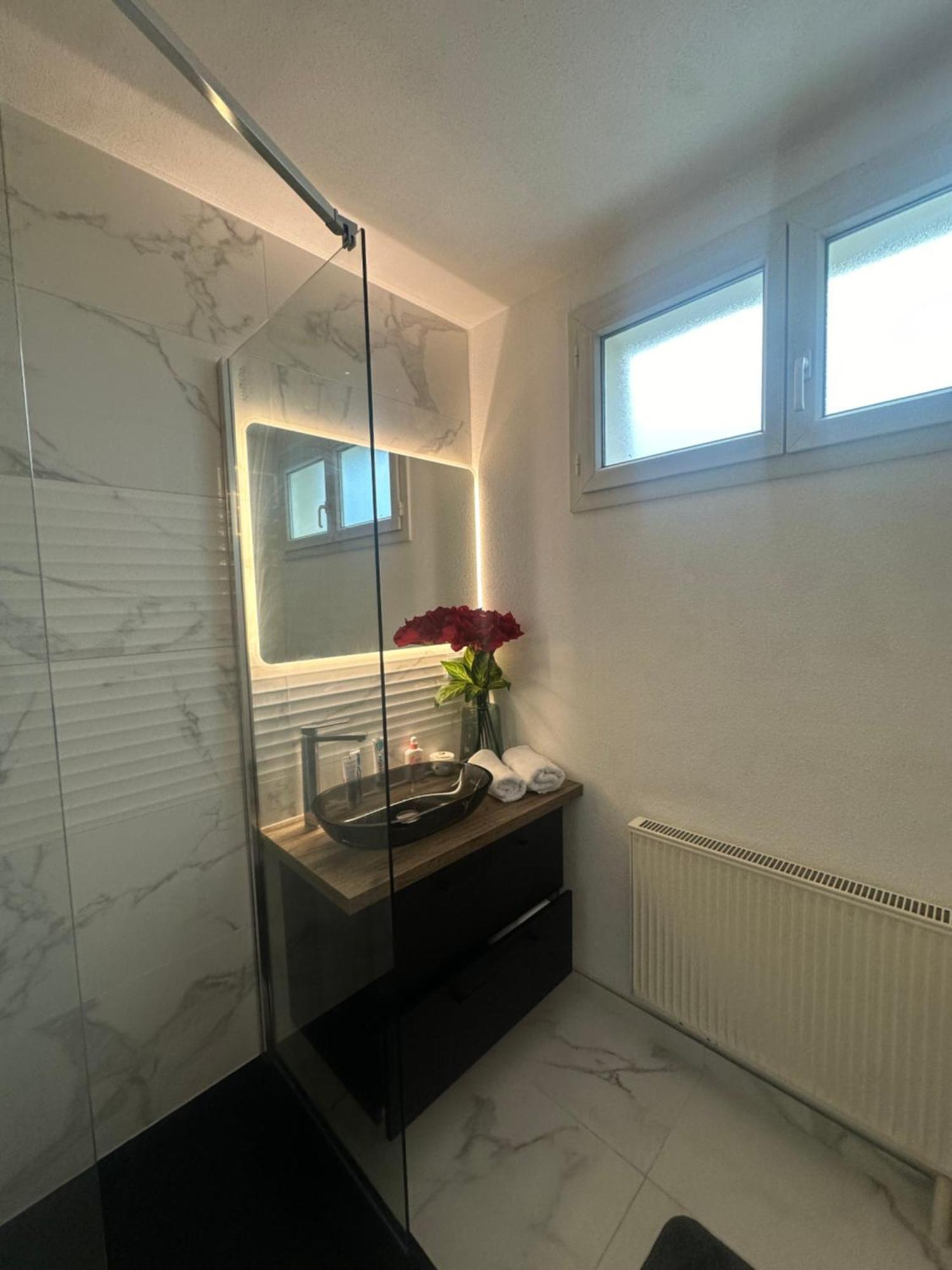 Apartament Tres Beau Trois Pieces Avec Vue Degagee Strasburg Zewnętrze zdjęcie
