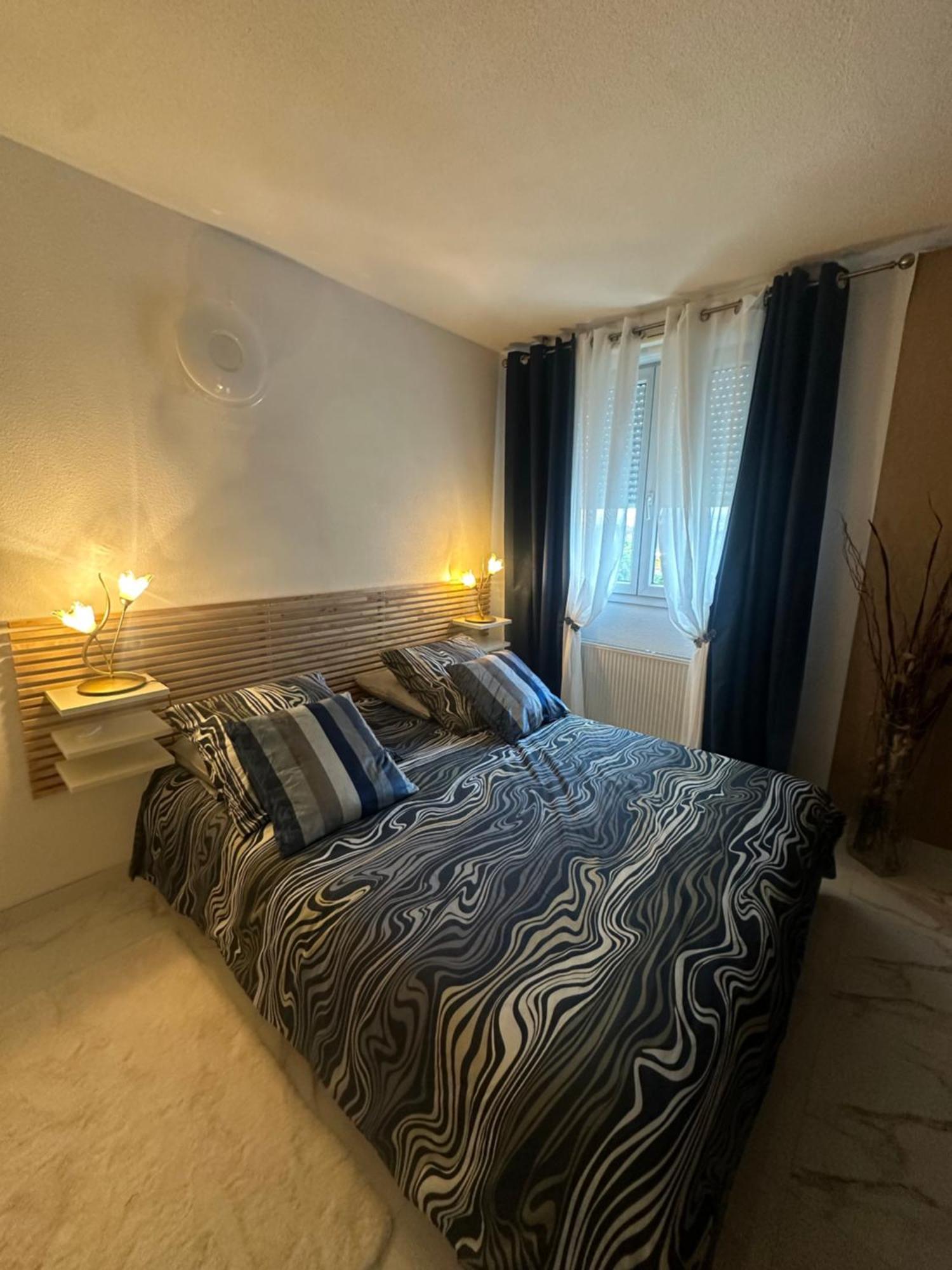 Apartament Tres Beau Trois Pieces Avec Vue Degagee Strasburg Zewnętrze zdjęcie